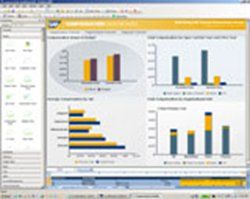 SAP Crystal Dashboard Design